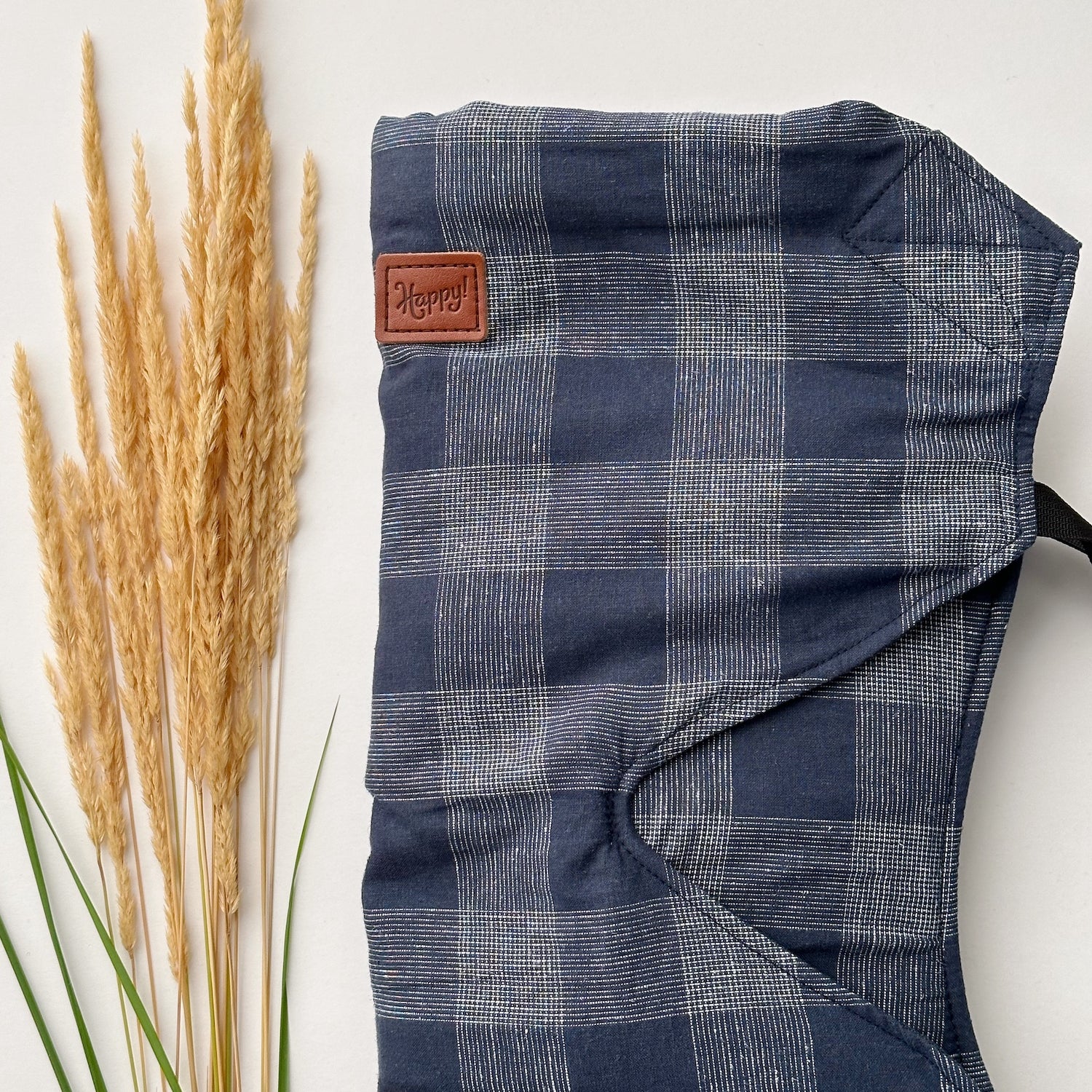 Happy Baby Revolution (forward facing option)