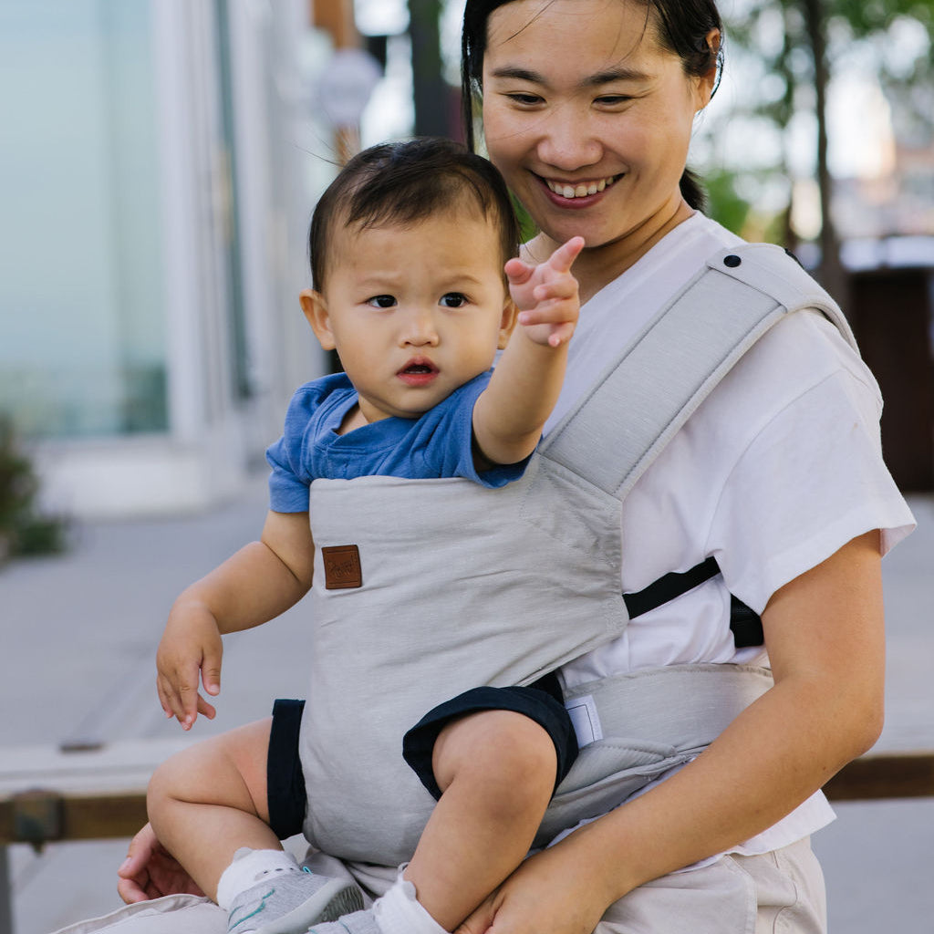 Happy Baby Revolution (forward facing option)