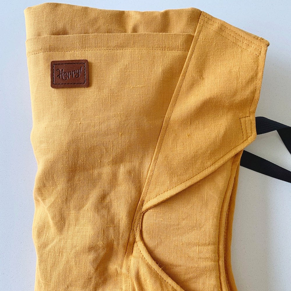 Happy Baby Revolution (forward facing option)